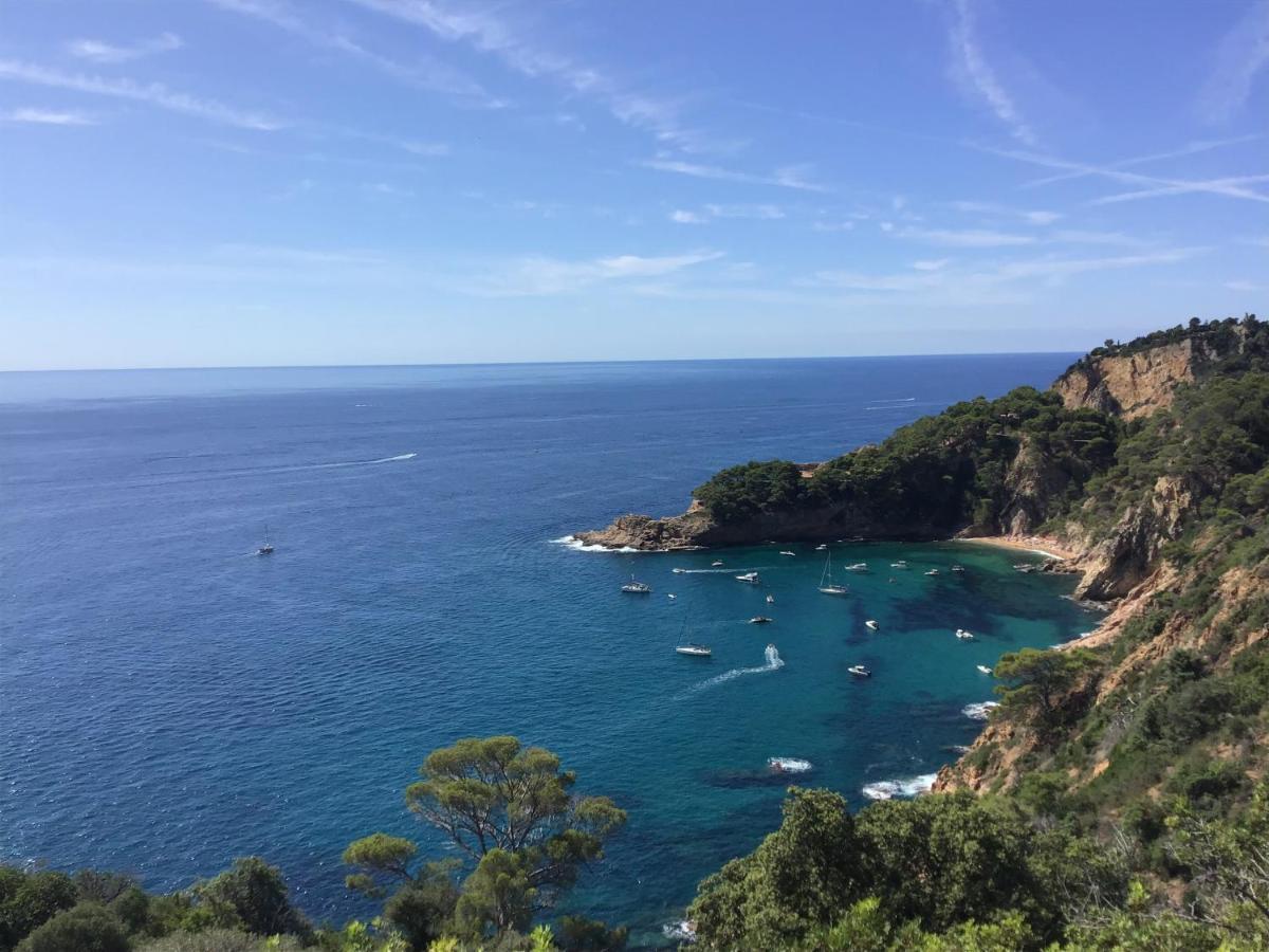 De 80m2 Au Coeur De Apartment Perpignan